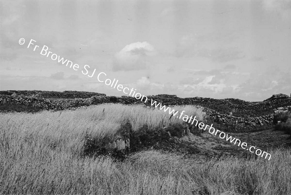 HARVEST AT KILMURVEY